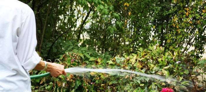 0906-mom-watering-garden1